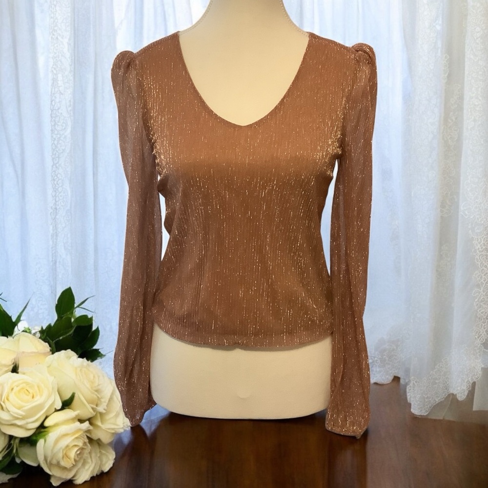 Heartloom Tan Blouse with Silver Highlights